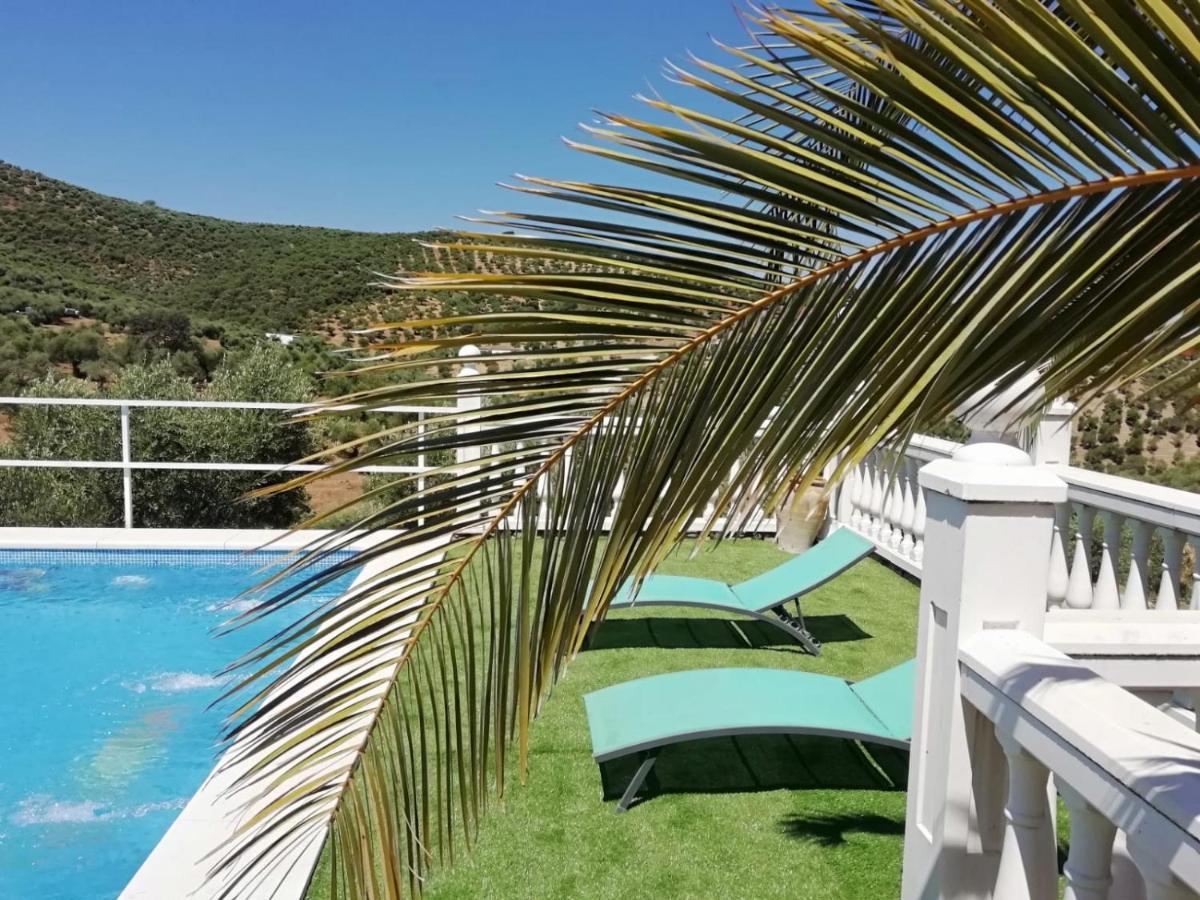 Alojamiento Rural La Perdiz La Puebla de los Infantes Εξωτερικό φωτογραφία