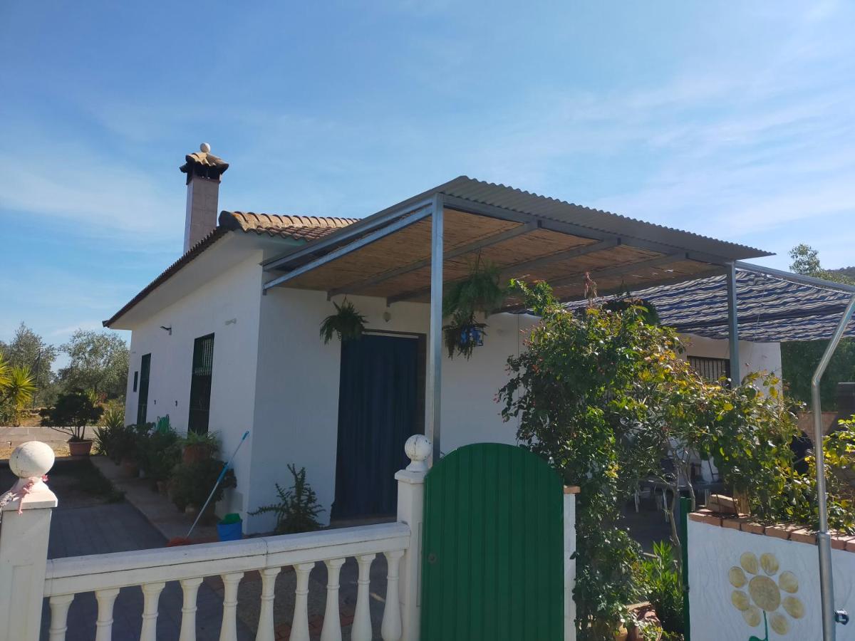 Alojamiento Rural La Perdiz La Puebla de los Infantes Εξωτερικό φωτογραφία