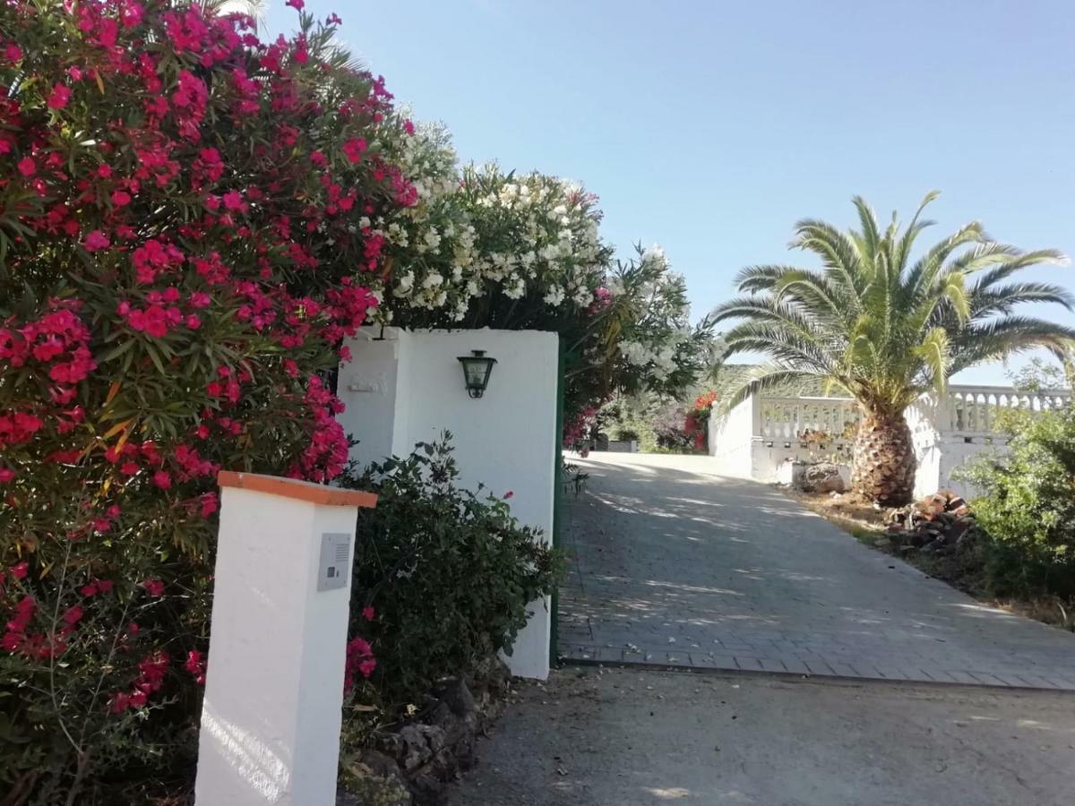 Alojamiento Rural La Perdiz La Puebla de los Infantes Εξωτερικό φωτογραφία