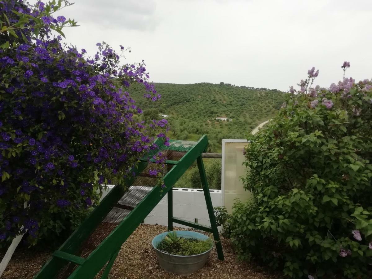 Alojamiento Rural La Perdiz La Puebla de los Infantes Εξωτερικό φωτογραφία